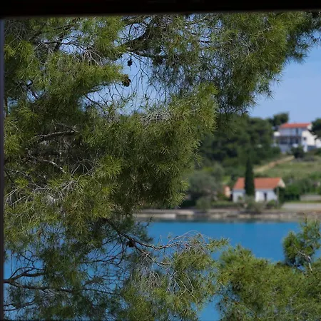 Nauta * Loviste