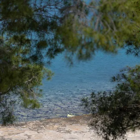 Nauta Loviste